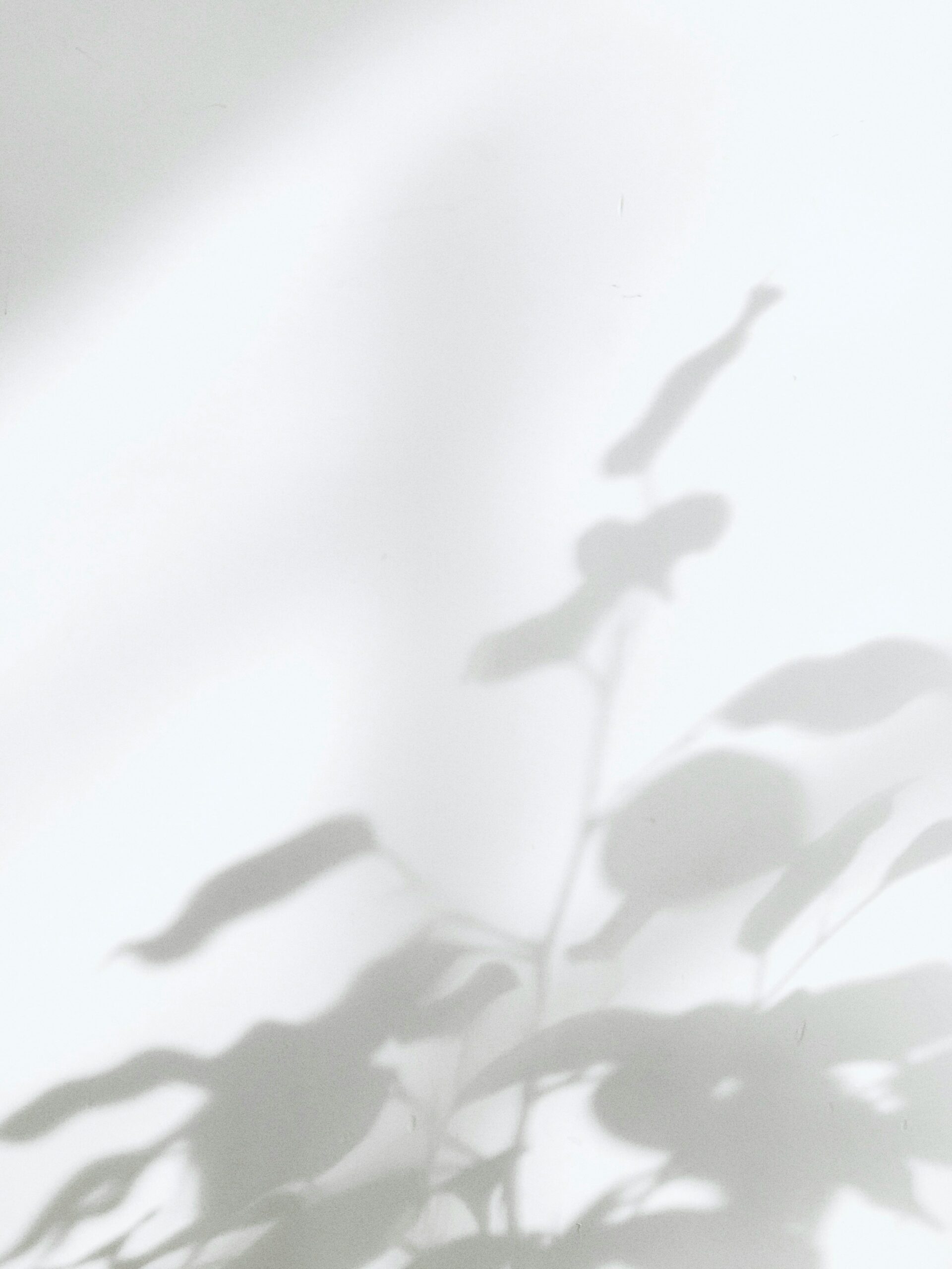 milad-fakurian-Tc_4PdN-Fq0-unsplash milad-fakurian-Tc_4PdN-Fq0-unsplash