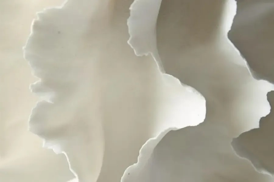 PEELING PEELING