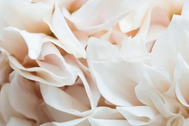 Depilación y tinte de cejas